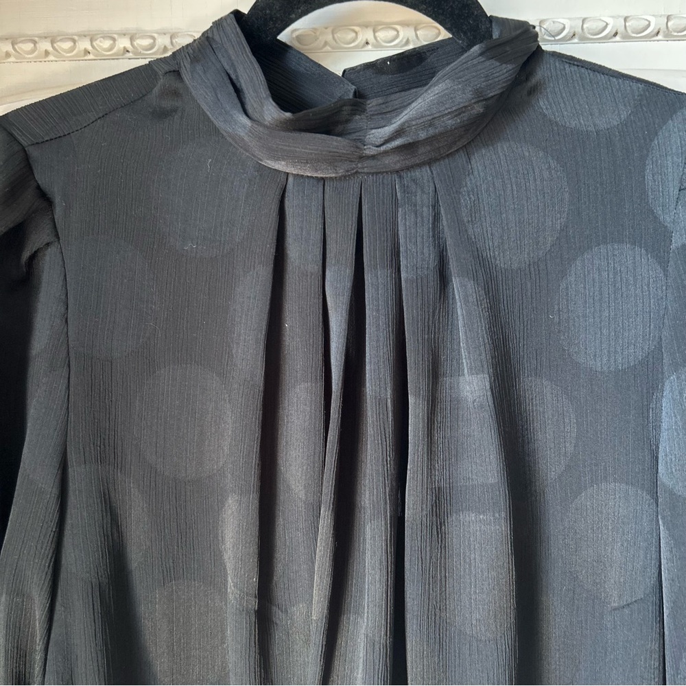 Women’s Long Sleeve Sheer Polka Dot High Neck Black Blouse Medium Whimsy Goth - Picture 2 of 6